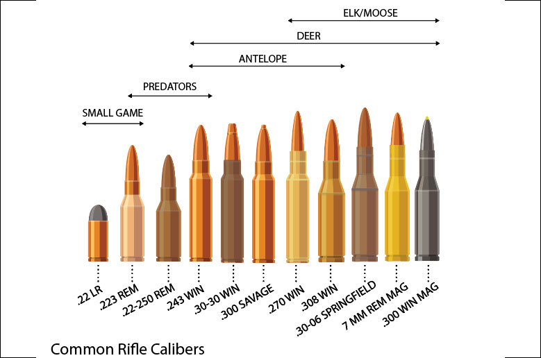 Illustration of ammunition