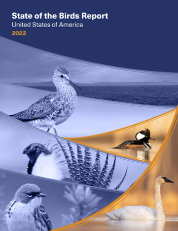 Screenshot of the cover of the State of the Birds Report by Cornell Labs