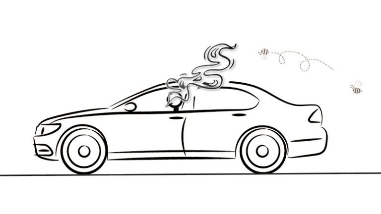 Drawing of car with driver smoking and bees following