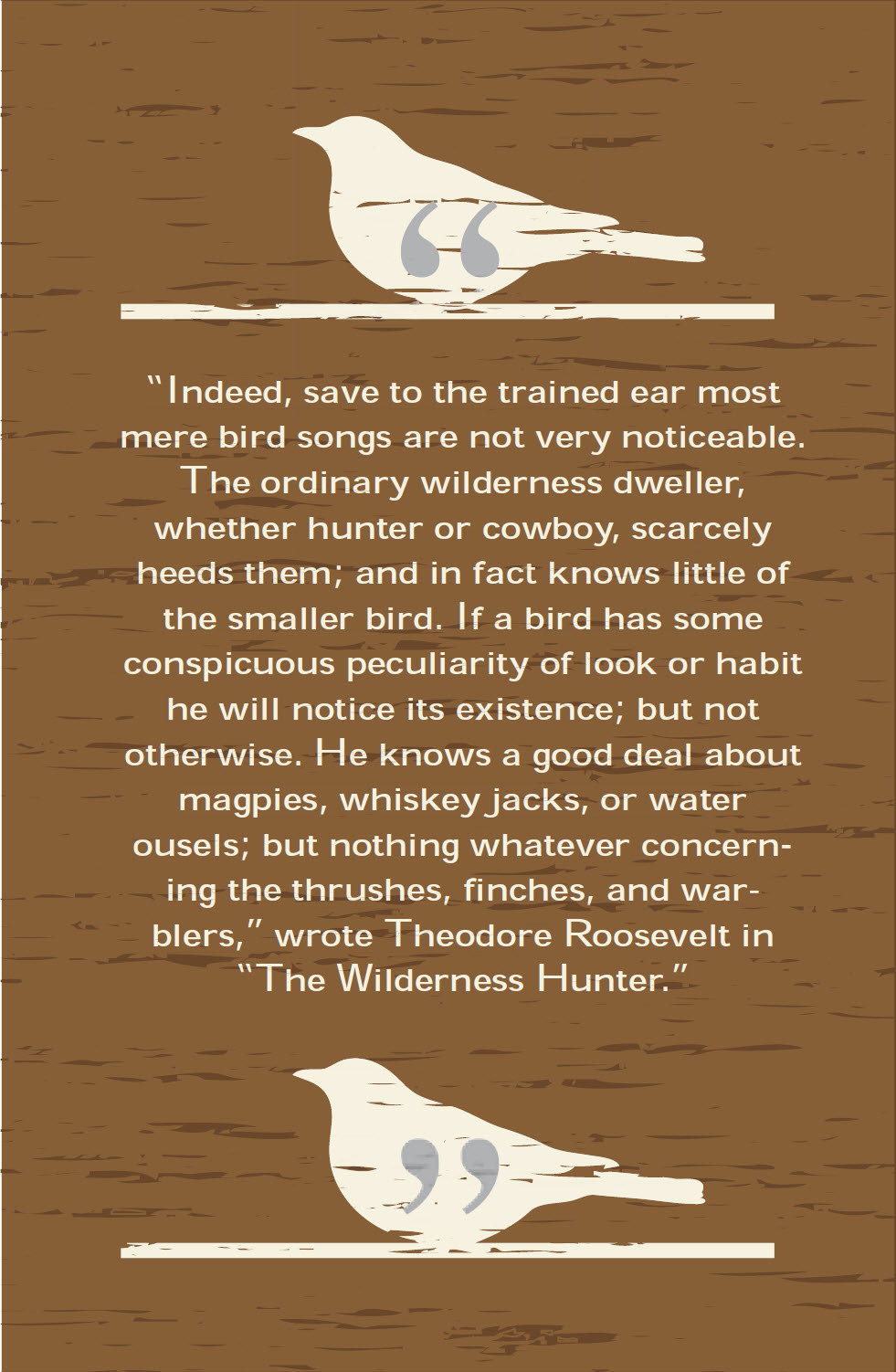Theodore Roosevelt Quote